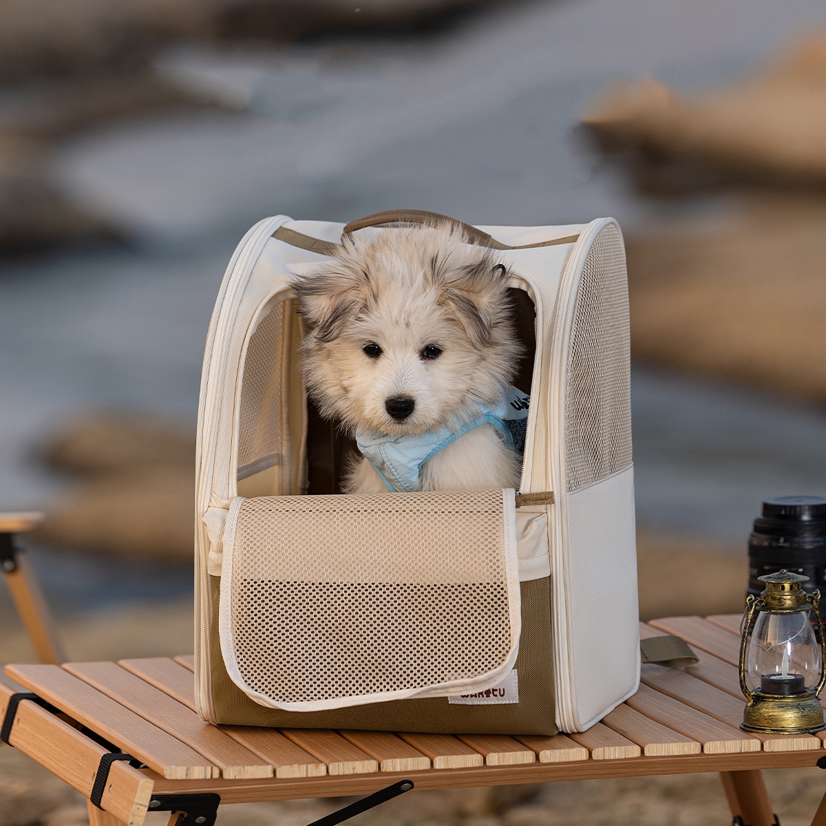 Pet Carrier Backpack Breathabl – Foldable Backpack Small recenzja i cena